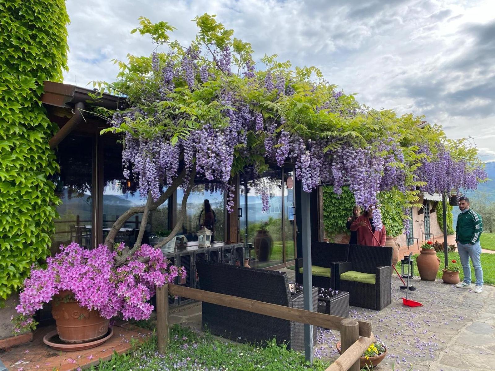 Agriturismo Ca Di Rossi Villa Mulazzo Eksteriør bilde