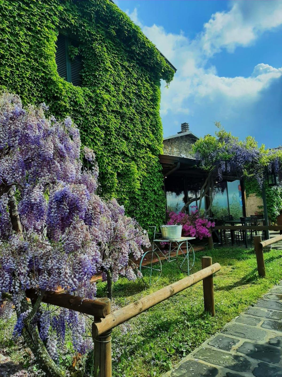 Agriturismo Ca Di Rossi Villa Mulazzo Eksteriør bilde